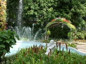 Botanical Garden, Jeju Island